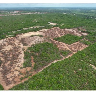Vista aérea de uma vasta área de vegetação nativa verde com um trecho delimitado de terra desmatada e solo exposto no centro